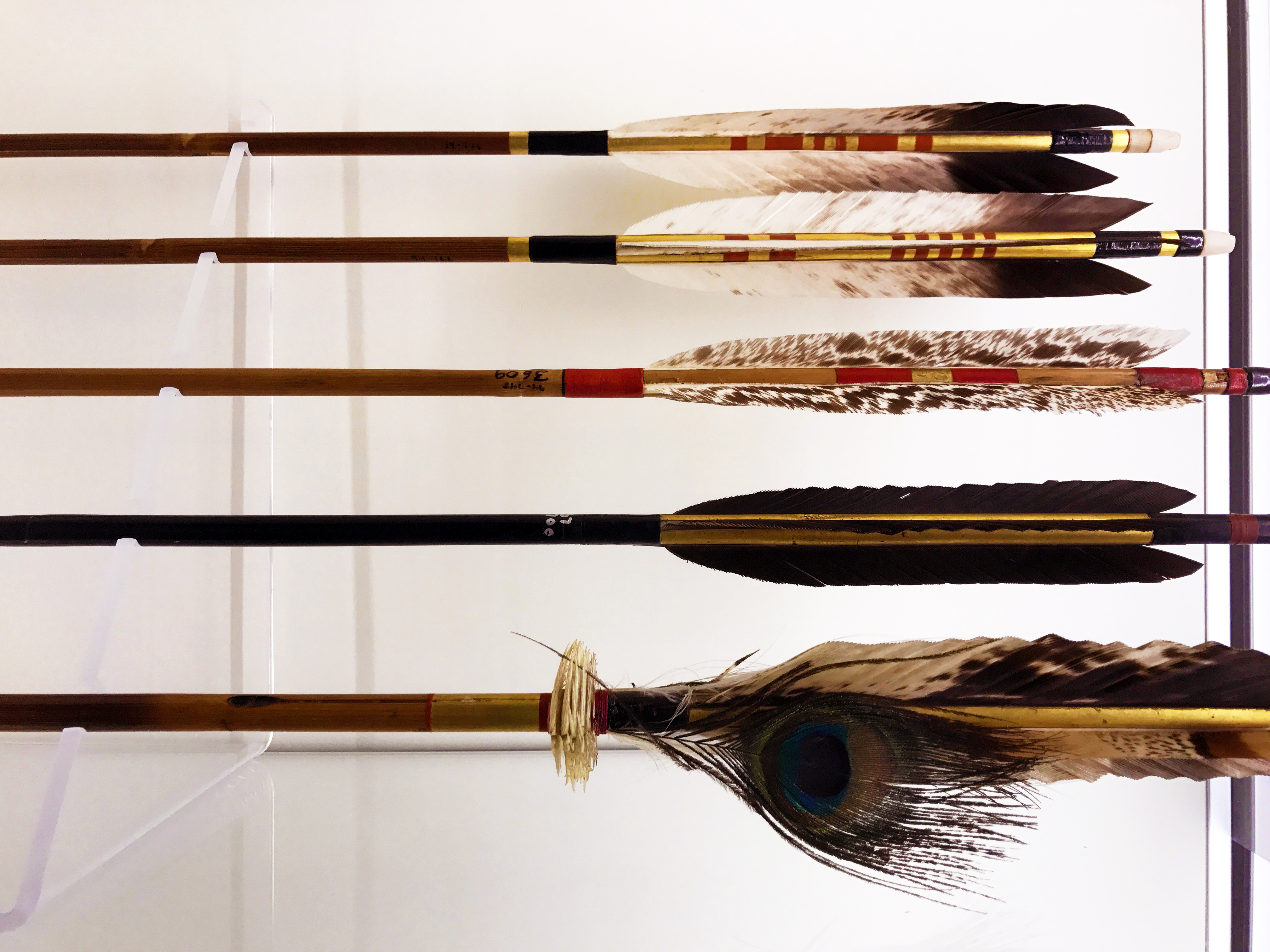 Grayson Archery Collection
