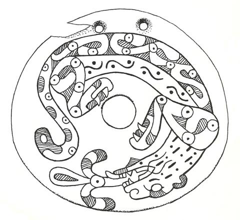 Drawing of Gorget