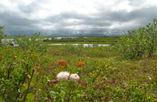 Alaska Native Heritage from the Bering Strait Region